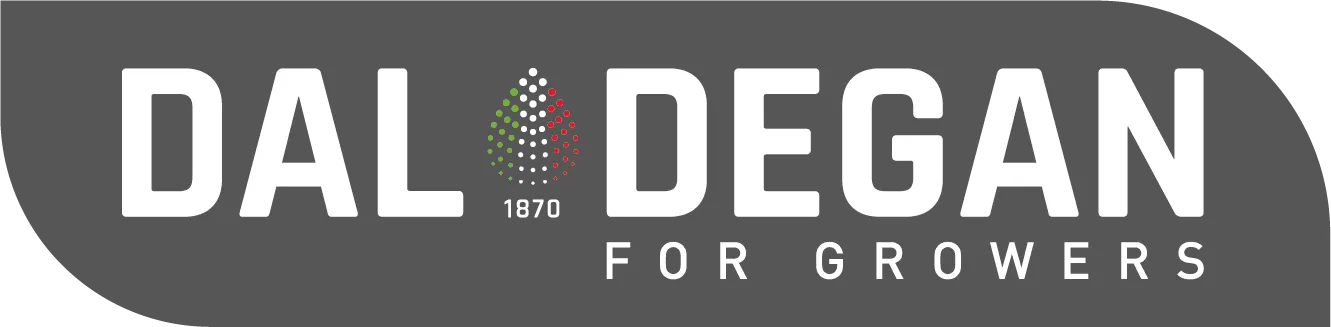 logo dal degan